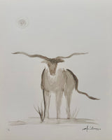 “West Texas Longhorn”