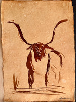 “Long haired country Bull”